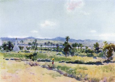 De Irrawaddy-vallei bij Meegyoungyai door Robert George Talbot Kelly